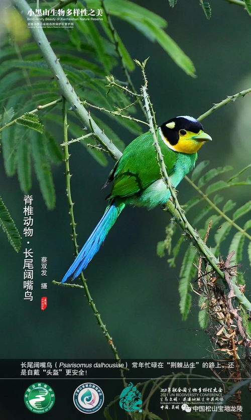 北纬24度 生物多样性的独特魅力与生态密码