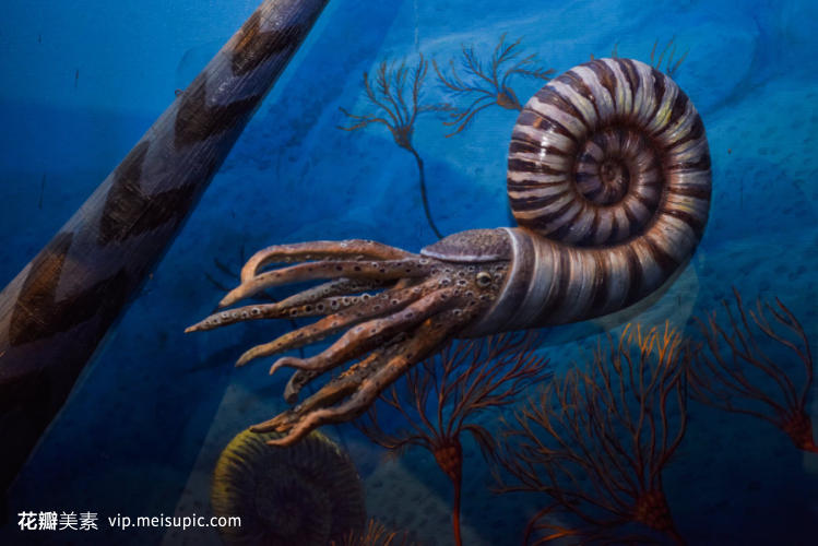 博物馆中的史前生物模型 穿越时空的窗口